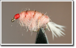 Quill Gordon Pink Scud